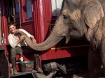 Robert Pattinson, Water for Elephants