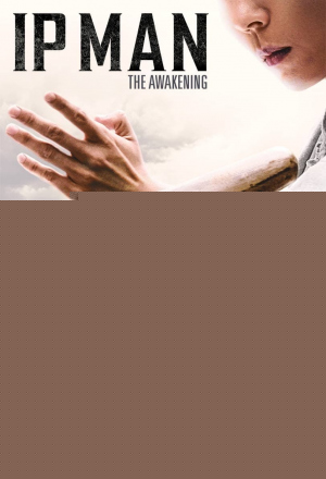 Ip Man: The Awakening