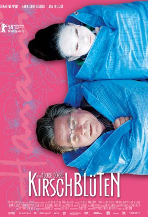 Kirschblüten - Hanami