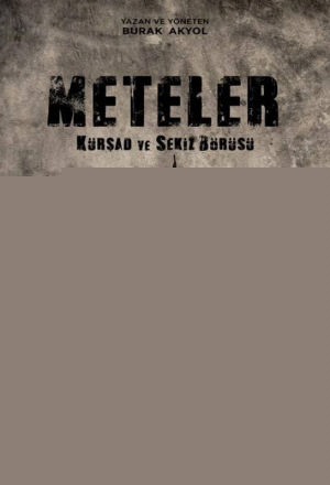 Meteler