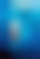Finding Dory