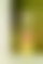 Green Mansions