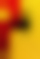 QT8: The First Eight