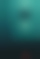 The Deep House