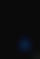 The Thin Blue Line