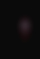 Black Christmas