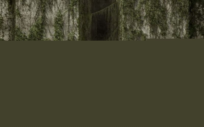 The Maze Runner