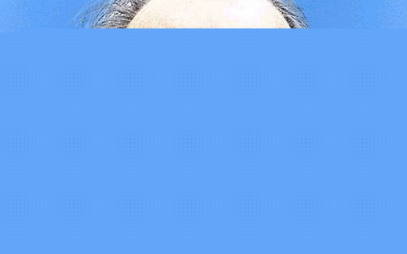 About Schmidt