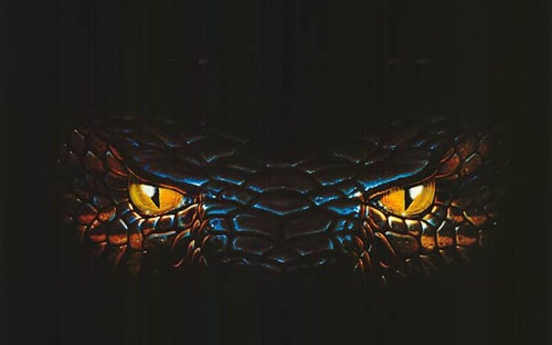 Anaconda