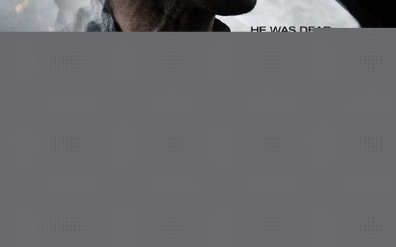 Crank: High Voltage