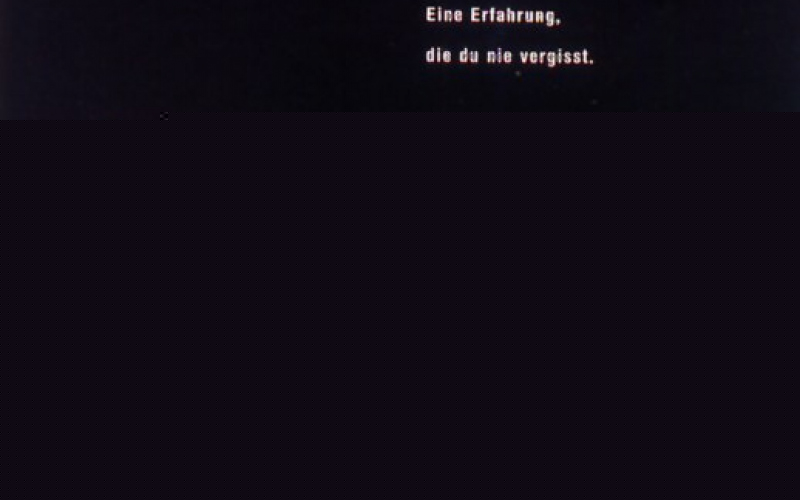 Das Experiment
