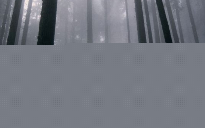 El aura