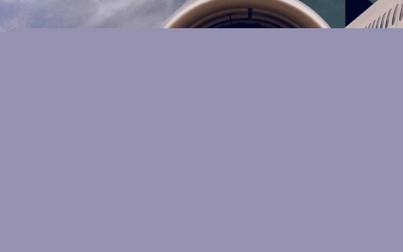Flight/Risk
