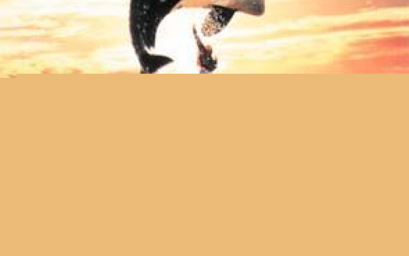 Free Willy