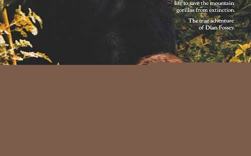 Gorillas in the Mist: The Story of Dian Fossey