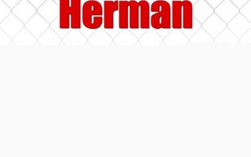 Hello Herman