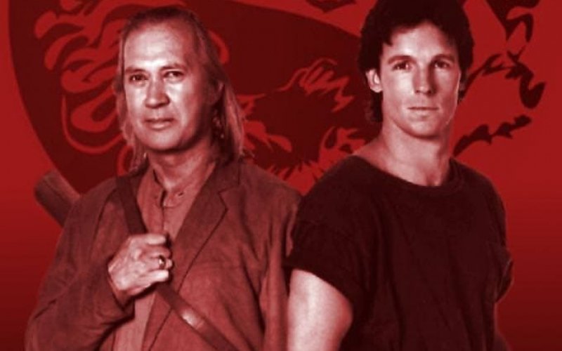 Kung Fu: The Legend Continues