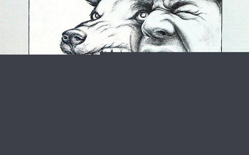 La ciudad y los perros