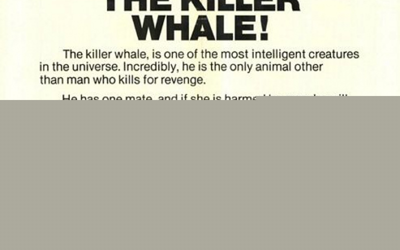 Orca