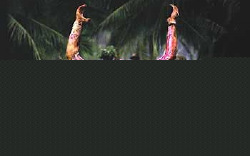 Platoon