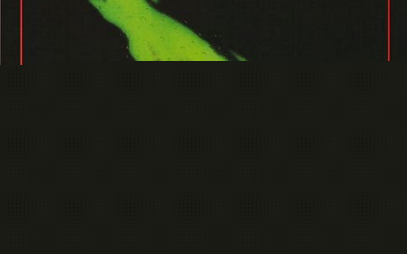 Prince of Darkness