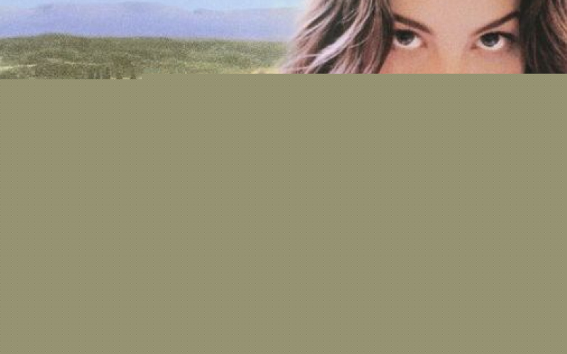 Stealing Beauty