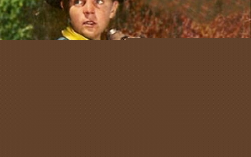 The Adventures of Rin Tin Tin