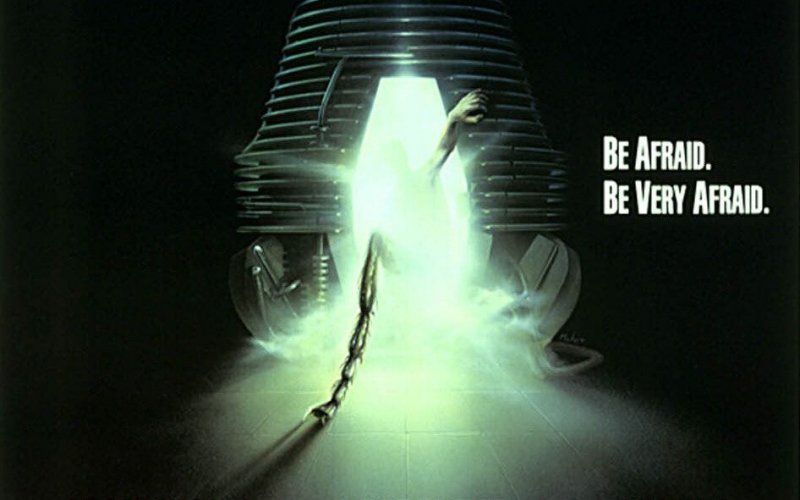 The Fly
