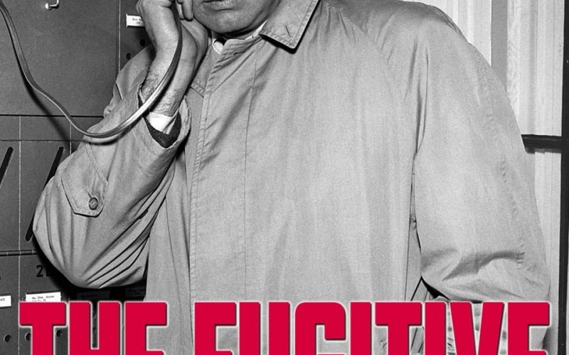 The Fugitive