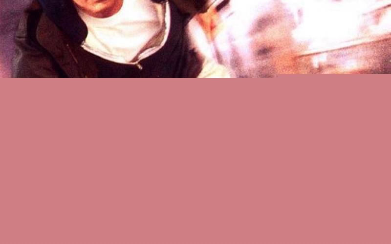 The Fugitive