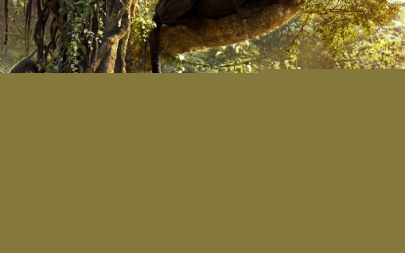 The Jungle Book