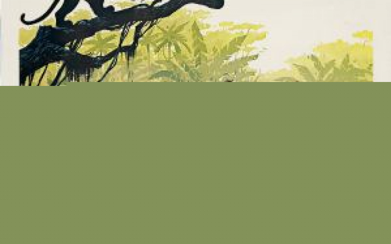 The Jungle Book