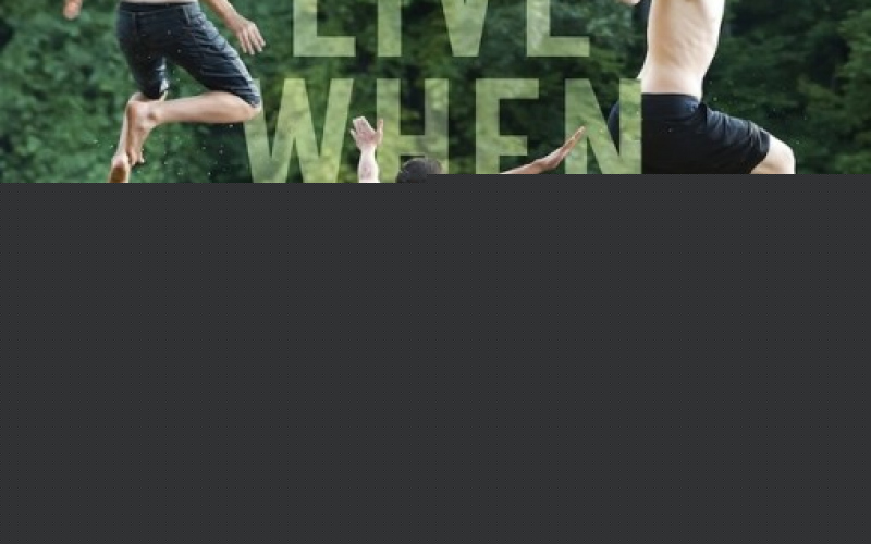 The Kings of Summer