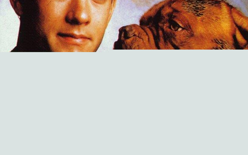 Turner & Hooch