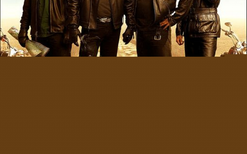 Wild Hogs