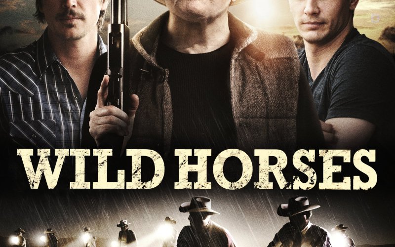 Wild Horses