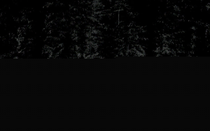 Woodland Grey