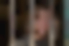 Charlie Plummer en All the Money in the World