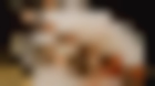 Imagen de Whiplash