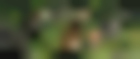 Imagen de Tarzan