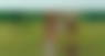 Kara Hayward y Jared Gilman en Moonrise Kingdom