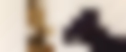 Imagen de Isle of Dogs