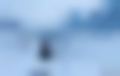 Imagen de Rare Exports