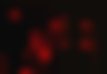 Ryan Gosling en Only God Forgives