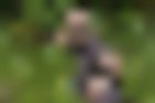 Jason Statham en The Expendables