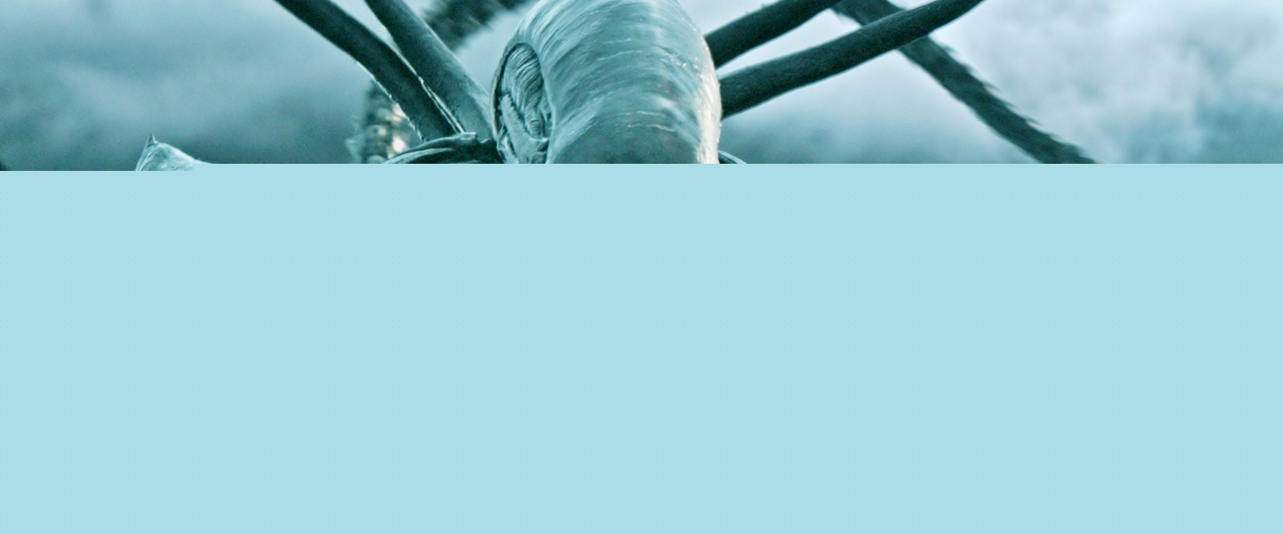 Trailer de Alien: Covenant