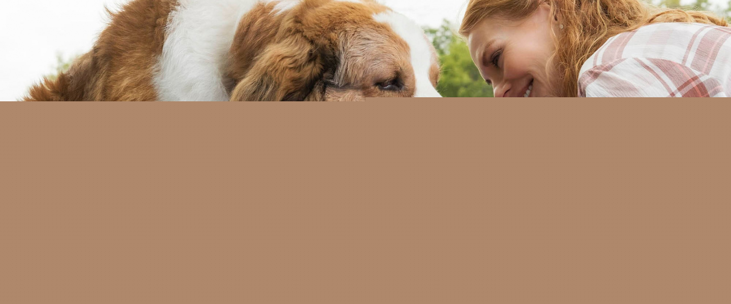 Trailer de A Dog's Journey