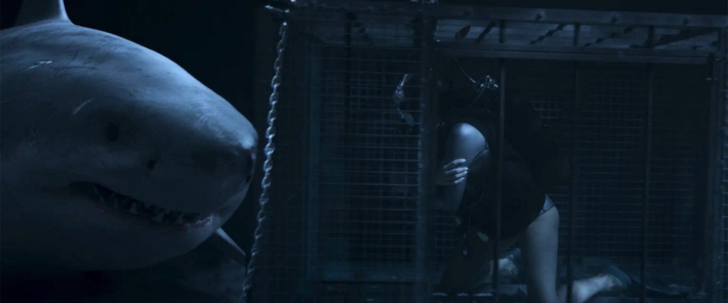 Trailer de Above & Below