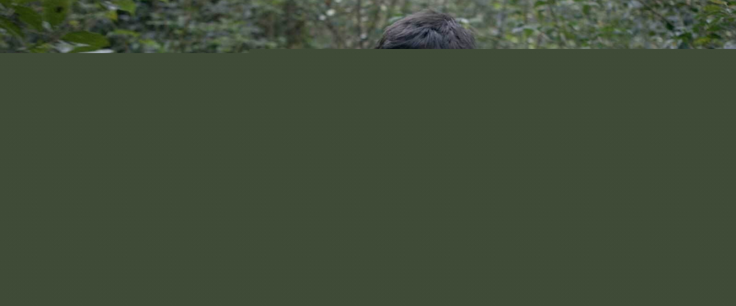 Trailer de Al acecho