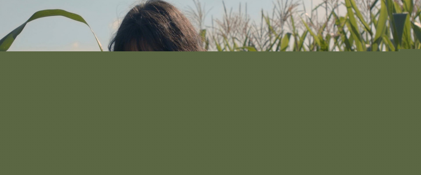 Trailer de Birdshot